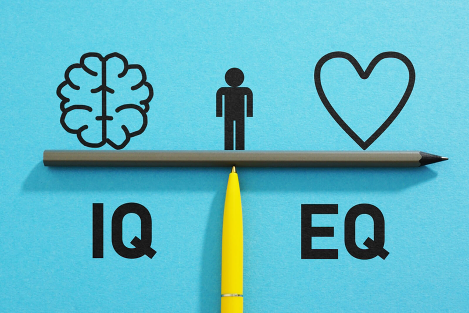 Sự cân bằng giữa trí tuệ cảm xúc (EQ) và trí thông minh (IQ) giữ vai trò rất quan trọng