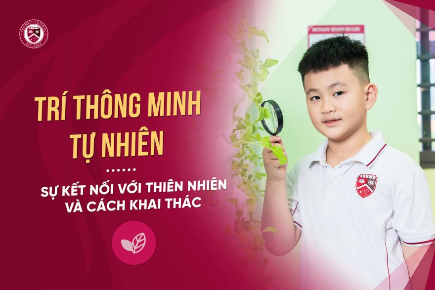 tri-thong-minh-tu-nhien-suc-manh-cua-viec-ket-noi-voi-thien-nhien