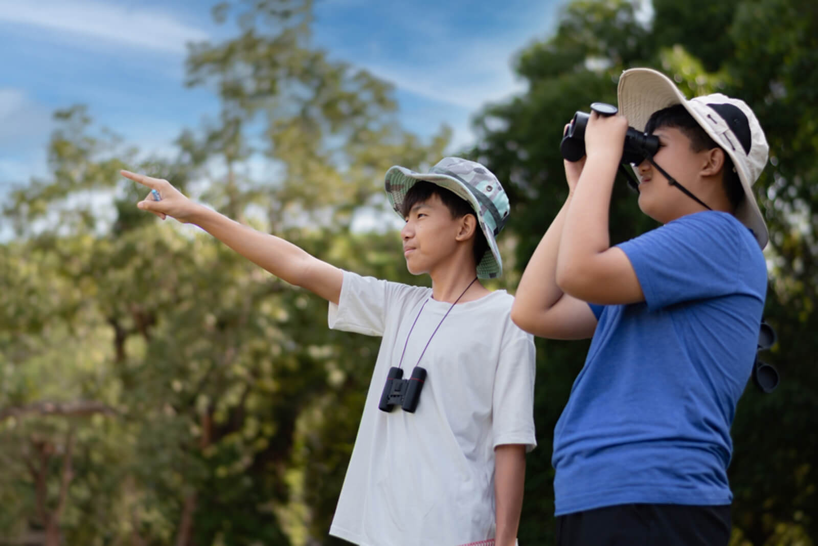 Trí thông minh Tự nhiên giúp trẻ nhận biết môi trường tốt hơn